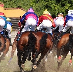 New Jersey Race Tracks Want Online Gambling