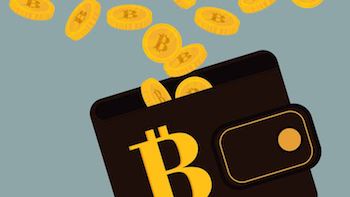 Types of Bitcoin Wallets