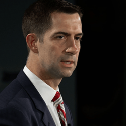 Senator Cotton Cannot Quit Criticizing Internet Gambling