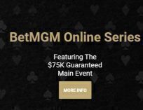 BetMGM MI Online Series
