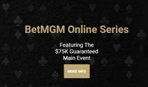 BetMGM MI Online Series