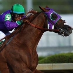 Belmont Stakes Odds as California Chrome Goes for the First Triple Crown since 1978