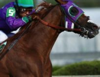 Belmont Stakes Odds as California Chrome Goes for the First Triple Crown since 1978