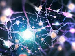 Neuron firing